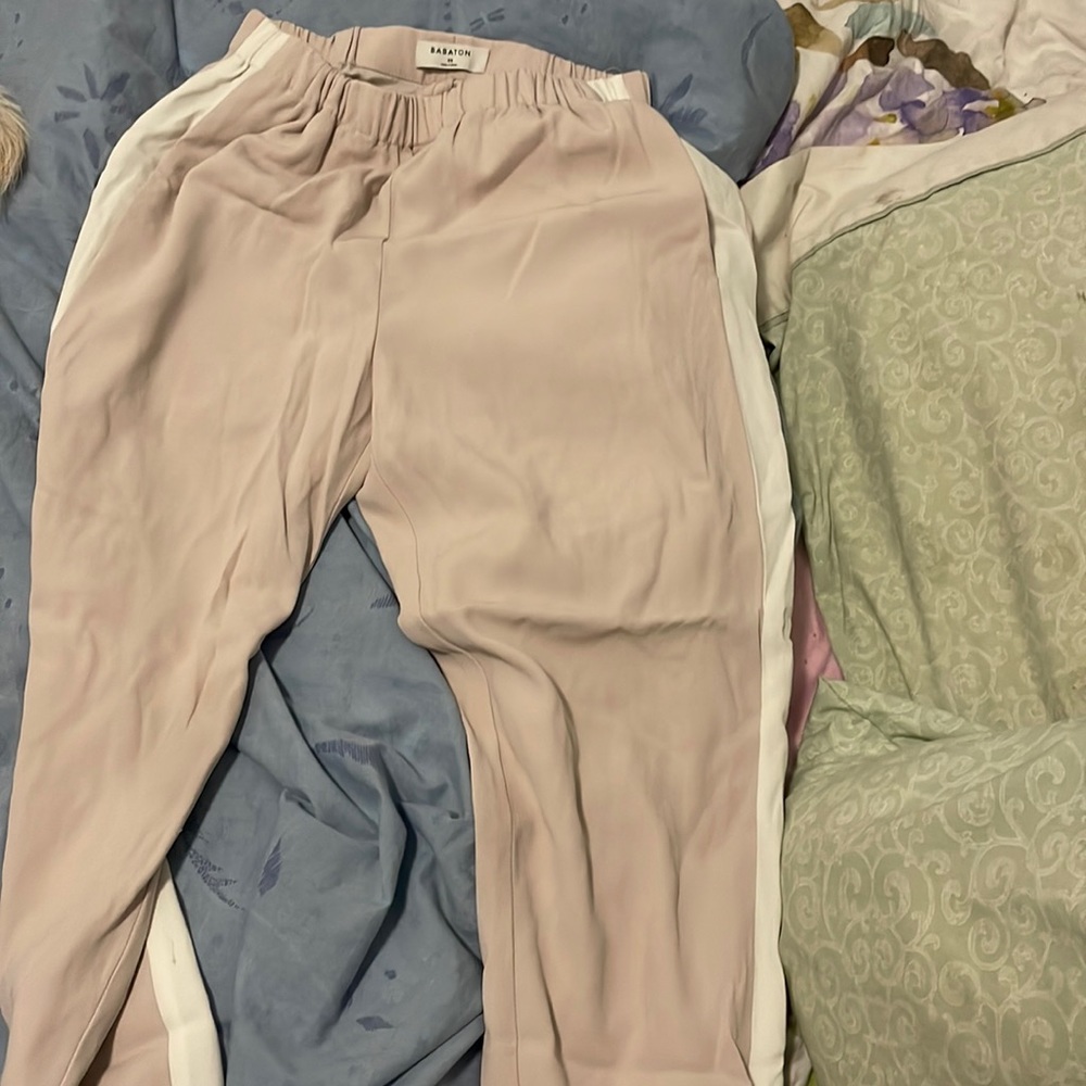 Aritzia dress pants